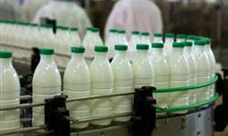 Este ano será tão desafiador para o setor lácteo quanto foi 2015? Confira relatos de especialistas