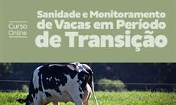 Nova edição do Curso Online "Sanidade e monitoramento de Vacas em Transição"