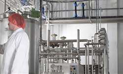 Isabela Ferrari responde perguntas sobre APPCC em processamento de leite e derivados