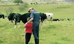 Campanhas de valorização dos produtores do leite: experiências em diversos países