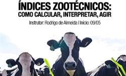 Começa hoje: "Índices Zootécnicos: como calcular, interpretar, agir" com Rodrigo de Almeida