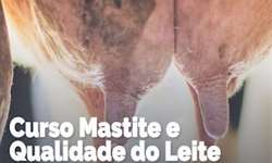Interleite Brasil: Sarne De Vliegher, especialista mundial em mastite, ministrará curso inédito na véspera do evento