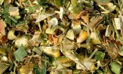 Silagens de milho estocadas: digestibilidade e estabilidade
