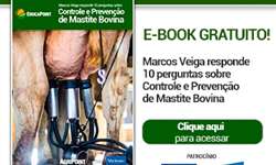Marcos Veiga responde 10 perguntas sobre o controle e a prevenção de mastite bovina