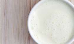 Pesquisadores desenvolvem leite mais saudável adicionando óleo de canola na dieta de vacas