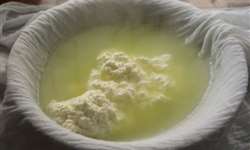 Peptídeos bioativos do soro de queijo: benefícios para a saúde