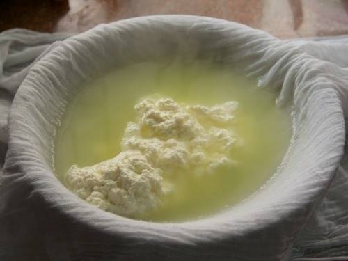 Peptídeos bioativos do soro de queijo: benefícios para a saúde