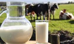 Roberta Züge fala sobre os benefícios da certificação para produtores de leite