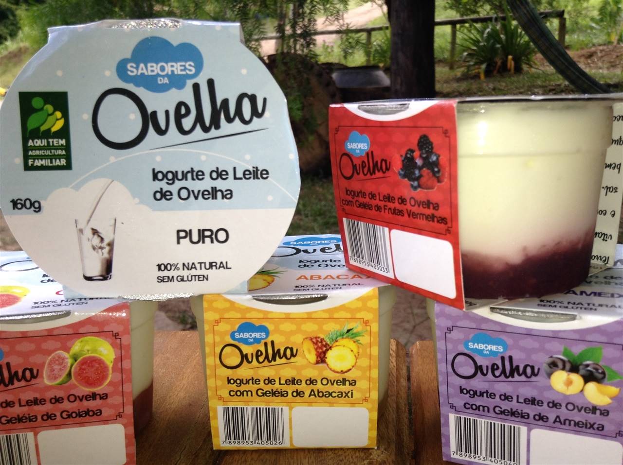 Ovelhas: as pequenas e notáveis que contribuem com a produção queijeira de alto valor