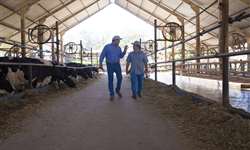 Projetos agropecuários: planejar e avaliar para ter sucesso na pecuária