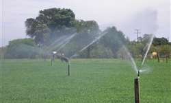 Irrigação em pastagens: momentos e viabilidades de utilização