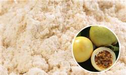 ITAL desenvolve requeijão enriquecido com farinha da casca do maracujá