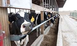 Aproveite a oportunidade e conheça a pecuária leiteira americana com o MilkPoint