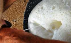 Câmara setorial do leite discute modernização do Riispoa