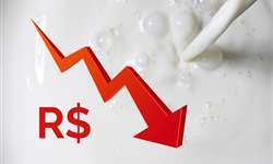 Dados parciais do MilkPoint Radar indicam nova queda de preços em novembro