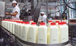 Argentina: produção de leite fechará o ano com o nível mais baixo desde 2010