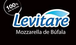 Mesclando criatividade e ousadia, Levitare se torna referência no mercado de leite de búfalas