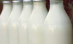Setor já fala em retomar exportações de lácteos