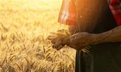 Agrofalácia sobre agricultura e agricultores