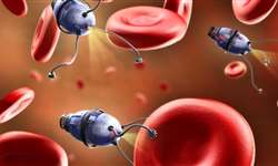 Nanobiotecnologia e o controle de pragas e doenças