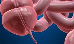 Função do apêndice e seu link com probióticos