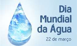 22/03 - Dia mundial da Água: preserve este recurso!