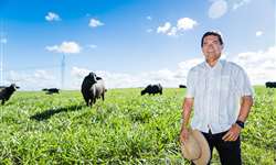 Francisco Veloso, da DiBufalo: "somos os únicos autorizados no Brasil a exportar derivados do leite de búfala"