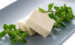 Uso da denominação 'manteiga' ou 'queijo' em produtos vegetais na Europa é condenado