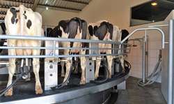 Agropecuária Régia: uma das fazendas de leite que mais cresceu nos últimos 10 anos
