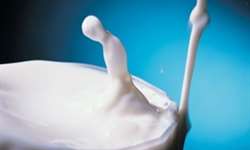 EUA: Como a indústria de leite fluido "azedou" e o que outros negócios podem aprender com isso