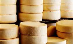 Dairy Vision 2017: "queijo artesanal é amor, paixão e dedicação"