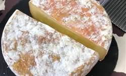 Qual o futuro para o queijo artesanal?