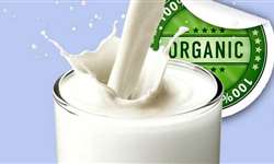 Vale a pena produzir leite orgânico?