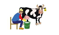 Segurança e saúde no trabalho da pecuária leiteira