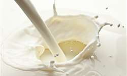 Qual é a microbiota psicrotrófica do leite cru refrigerado?