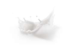 Devo melhorar a qualidade do leite? Com a palavra, o produtor