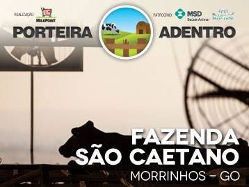 Porteira Adentro: Fazenda em Goiás tem sistemas confinado e a pasto com alta suplementação - conheça o projeto