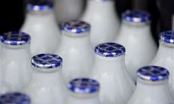 Fusões e aquisições, novos investimentos e estratégias no setor de lácteos