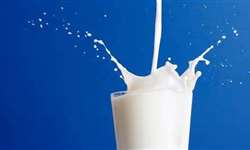 Cone Sul se consolida como grande fornecedor de lácteos