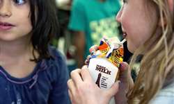 EUA: MilkPEP descobre que crianças querem beber mais leite, mas precisam de mais incentivo dos pais