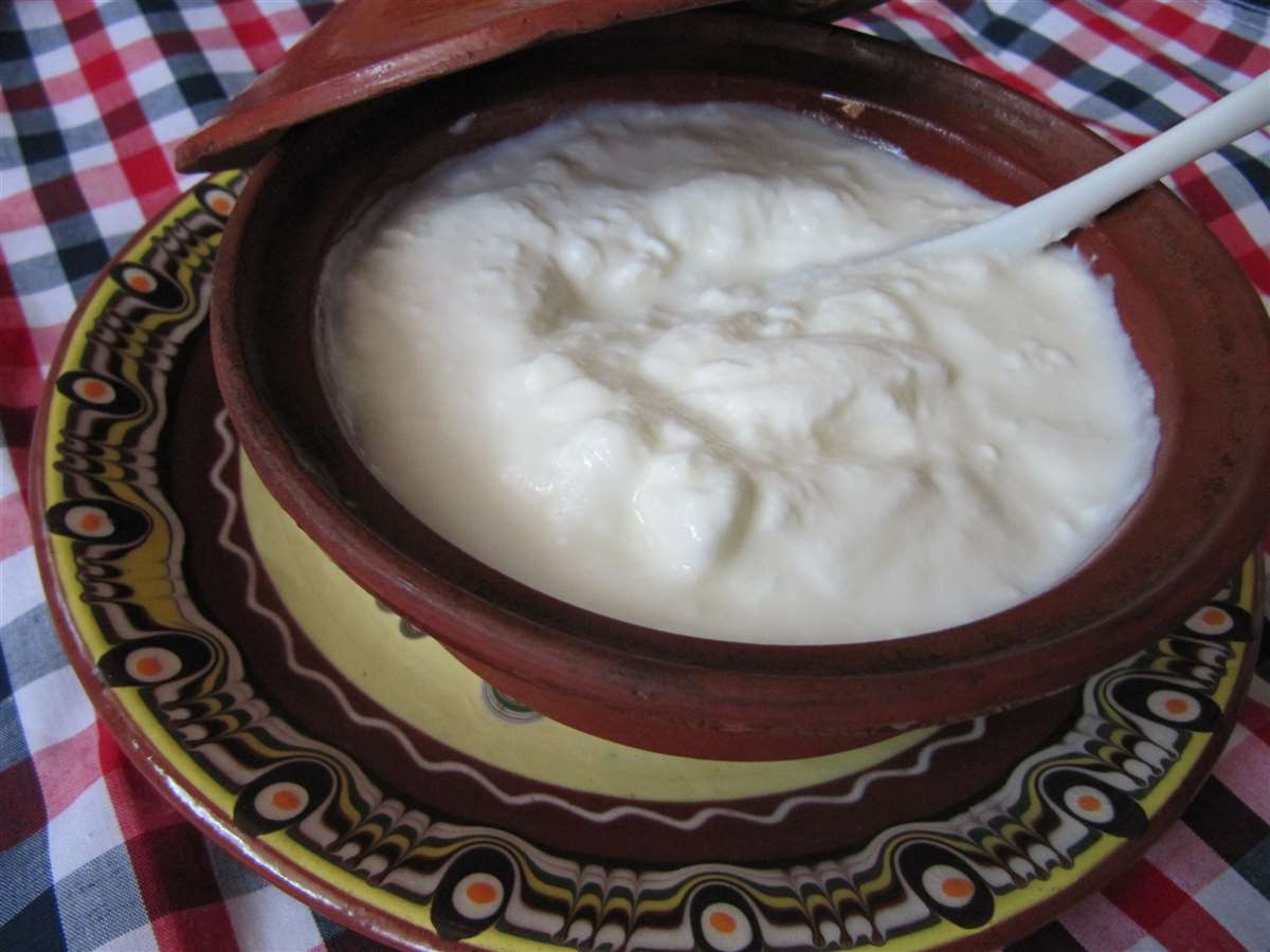 Bulgária: O país que apresentou o iogurte ao mundo | MilkPoint