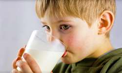 Produtos lácteos e a alimentação escolar