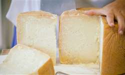 Curar queijo na cerveja, com ou sem perfume!