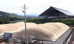 Qual biomassa de sua fazenda pode transformar em biogás?