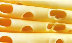 Quais são as principais tendências para o mercado de queijos?