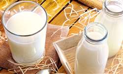 Pesquisa: metade dos consumidores de produtos alternativos também consome lácteos