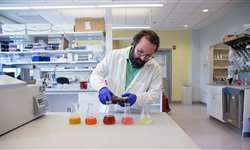 Universidade de Cornell: pesquisa transforma resíduos lácteos em bebida alcoólica
