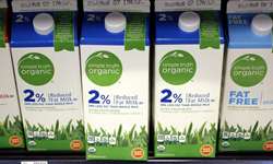 EUA: o mercado de lácteos orgânicos e a necessidade de um novo passo