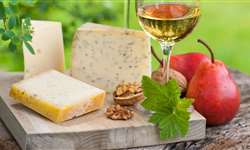 Governo de Minas libera recursos para a pesquisa na área de queijos artesanais