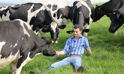 Programa 5S: como a gestão de qualidade pode aperfeiçoar as fazendas leiteiras?